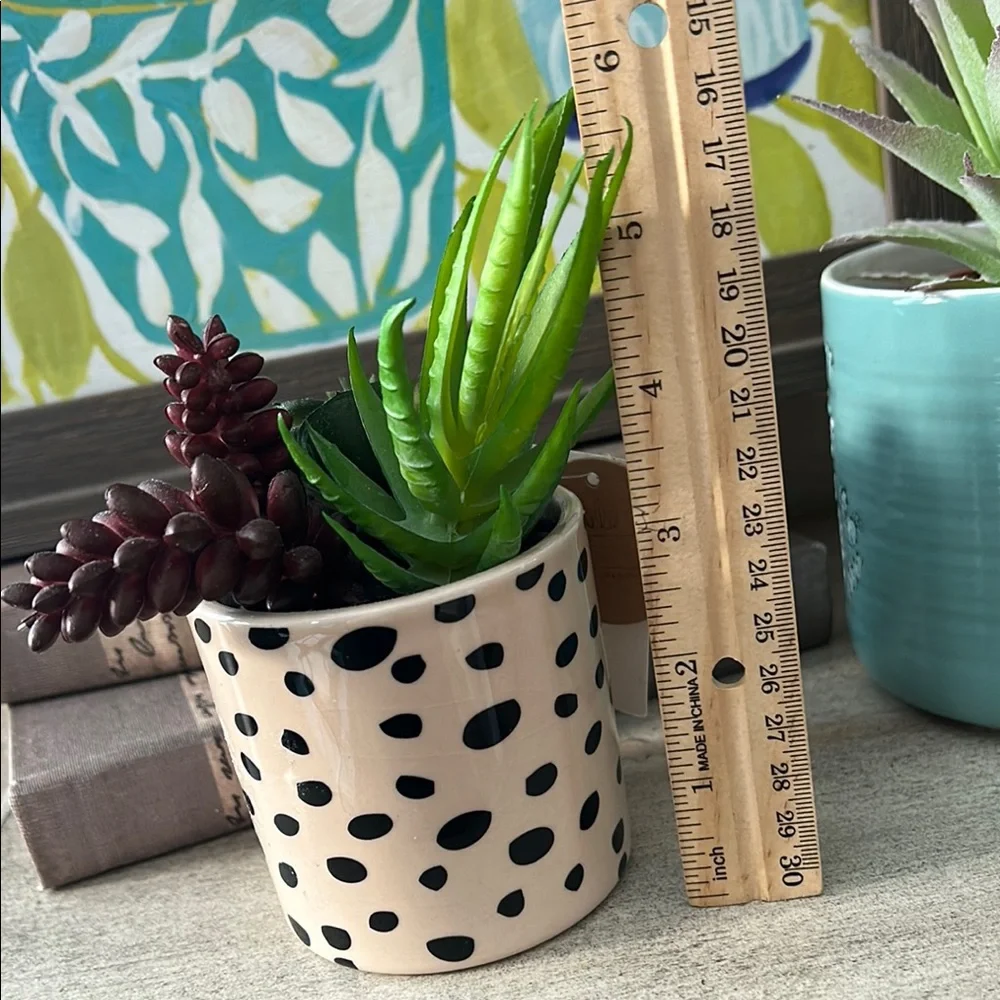 Polka Dot cheetah Planter with Succulents
